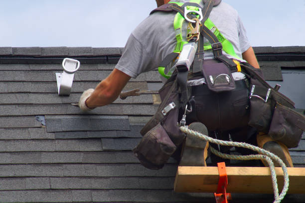 Best Roof Gutter Cleaning  in Four Oaks, NC